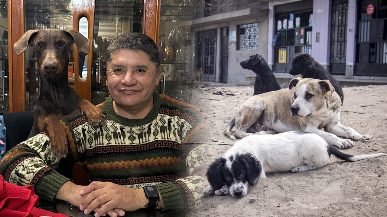 Víctor Hugo Rivera anuncia ONG tras su vacancia en Arequipa