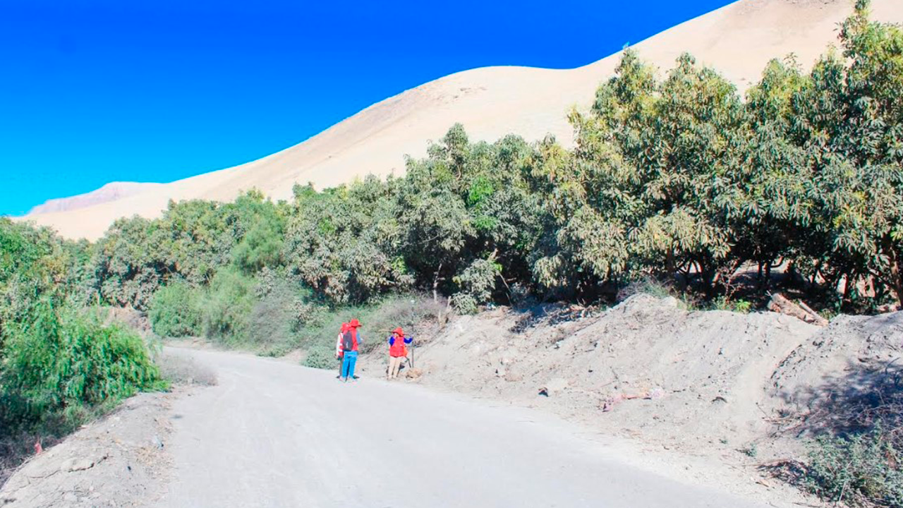 Contraloría alerta que proyecto agrario de S/53 millones en Moquegua tiene avance físico cero