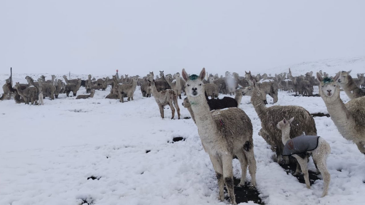 Alertan lluvias, nieve y granizo en zonas altoandinas